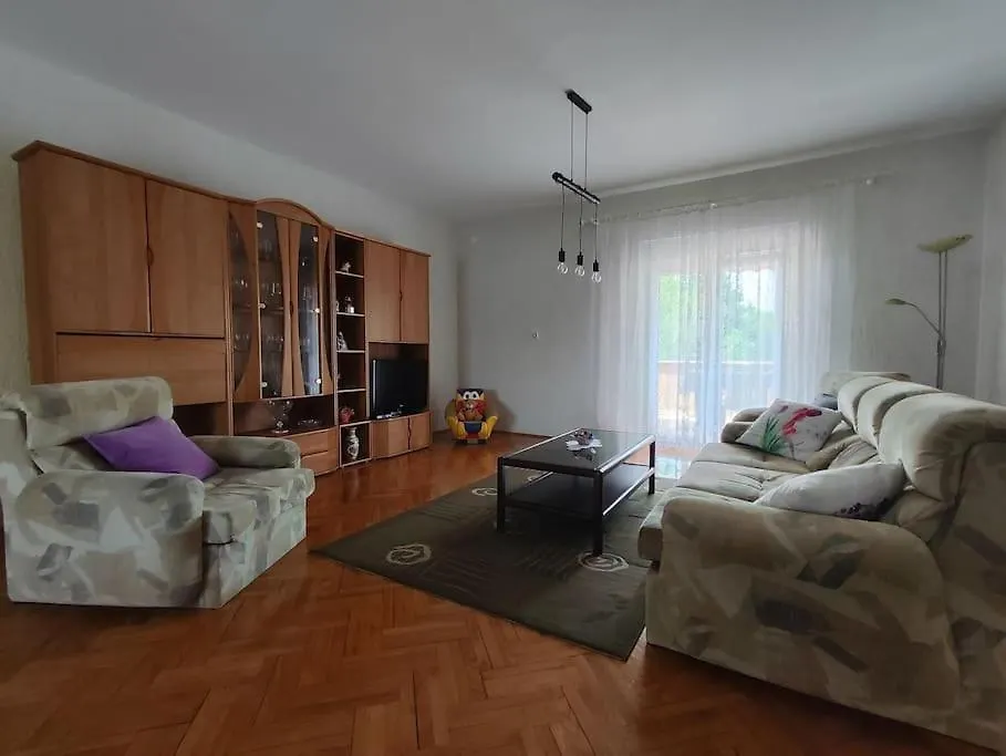 Apartman Luna Sajini 0*,