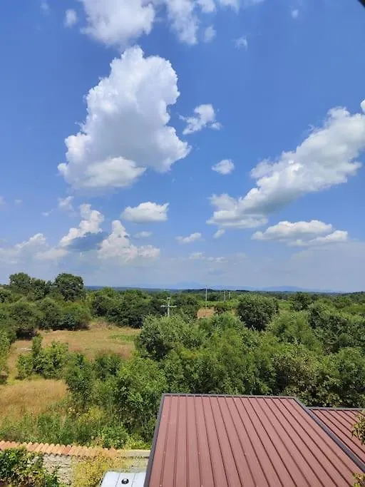 Apartman Luna Sajini