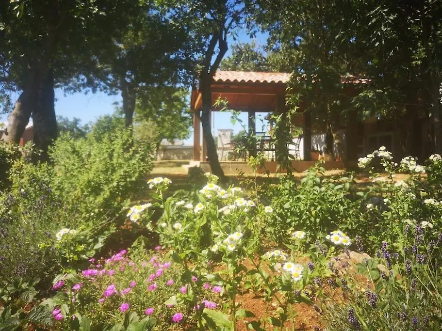 Apartman Luna Šajini 0*,  Kroatien